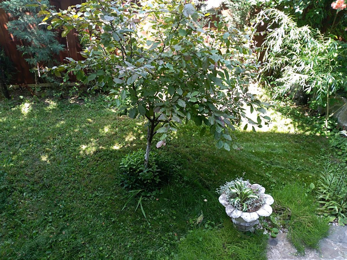 Apartamento Durmitor Kumanovo Exterior foto