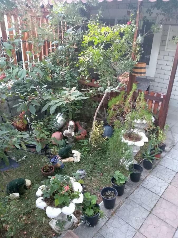 Apartamento Durmitor Kumanovo Exterior foto